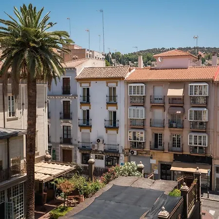 Apartment Ibericabeds Nueva De San Anton
